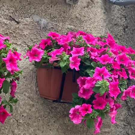 Policastro Mare *